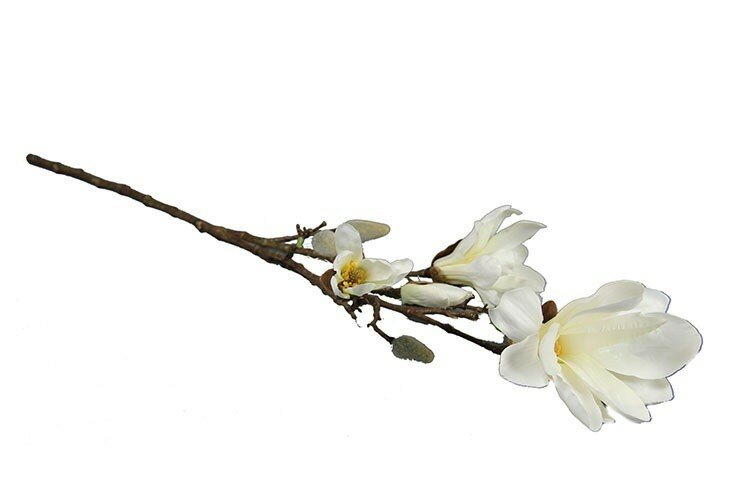 Magnolia Chayca wit L10B10H87CM